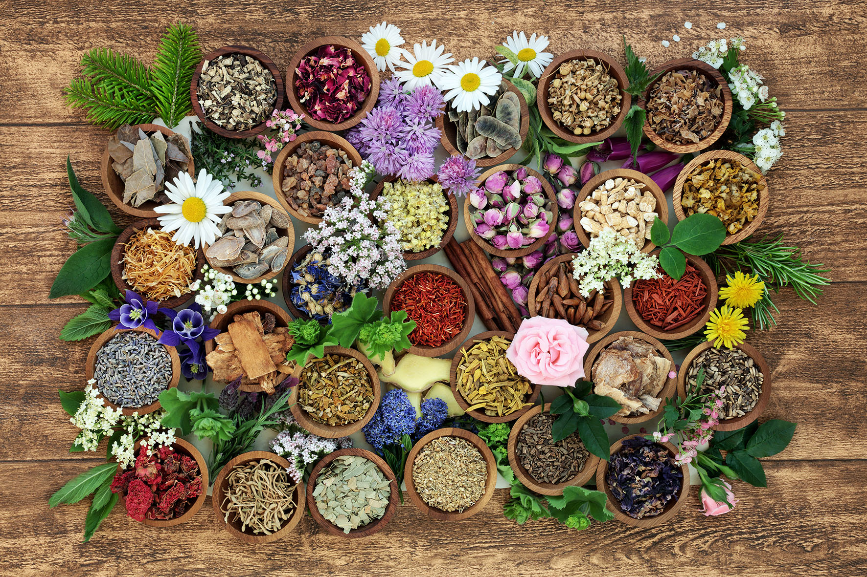 Herbal medicine with herb, spices and flowers used in chinese an