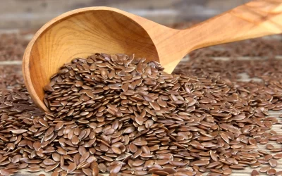 Flaxseed the small but beneficial seed