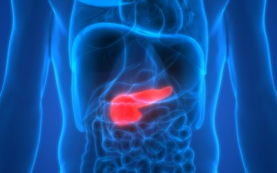 Pancreas, diabetes and number of meals